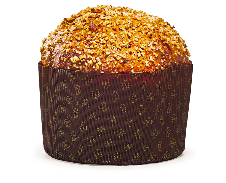 Traditional Panettone