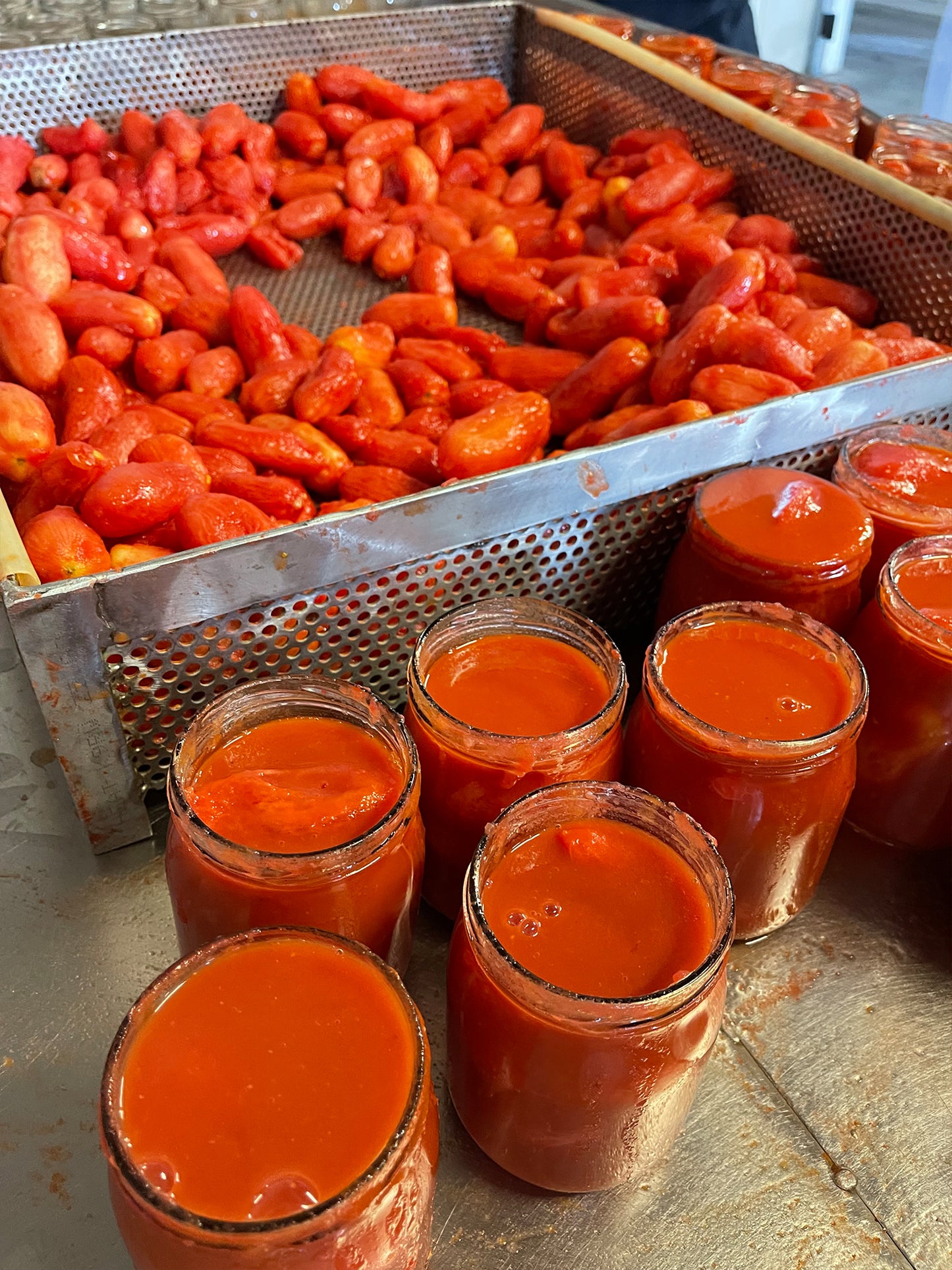 Corbara Tomatoes - Sua Eccellenza