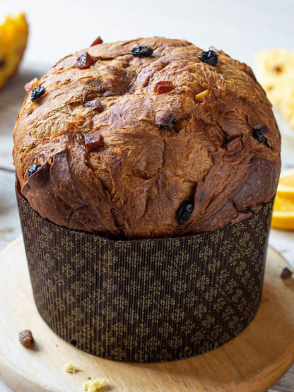 Traditional Panettone